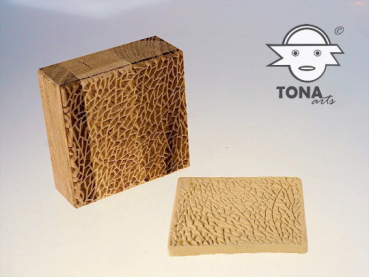 No.SL2 seamless plant cell structure